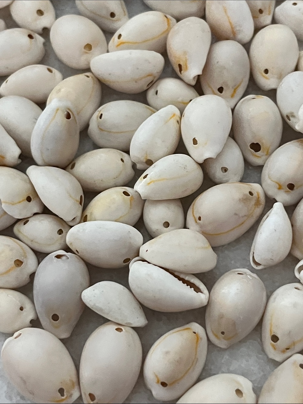 100 Natural White /Yellow Cowrie Shell Beads - Strand Ready Drilled East to West